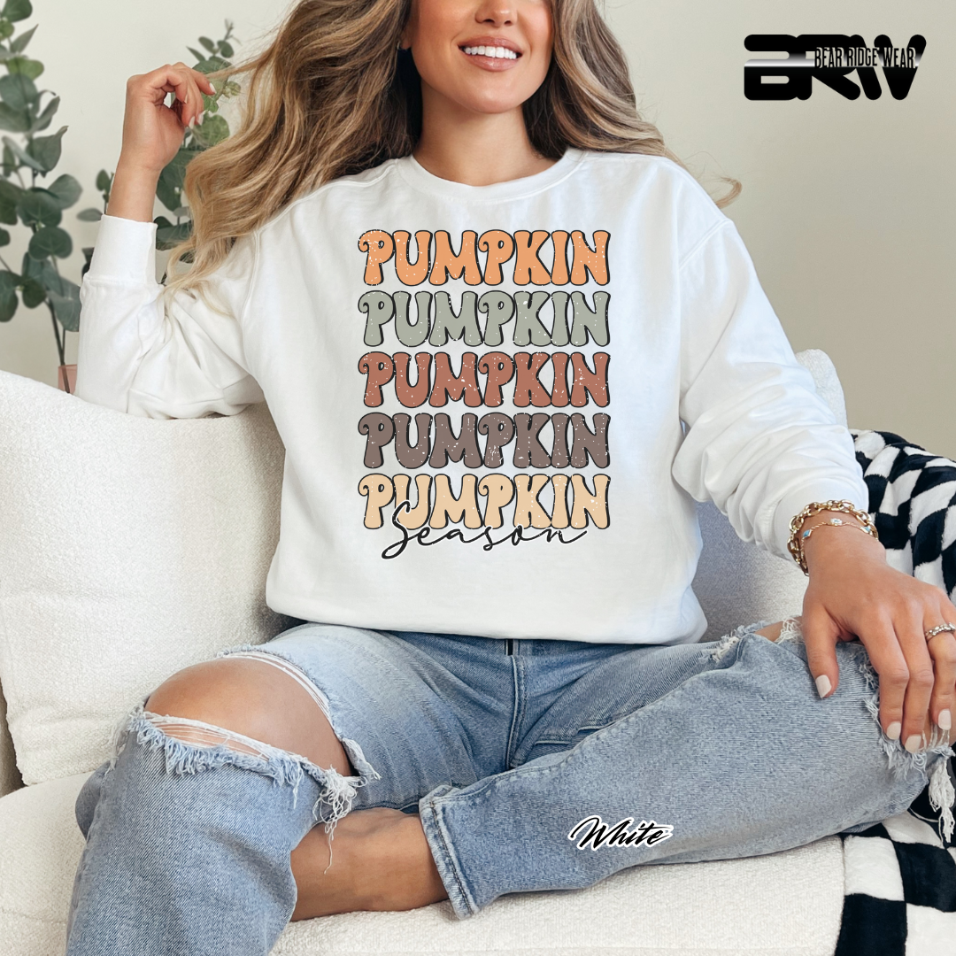 'Pumpkin Pumpkin Season' Fall Long Sleeve Tee