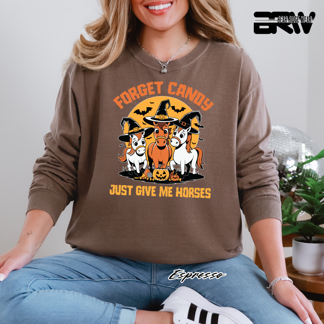 'Forget Candy-Horses' Fall Long Sleeve Tee