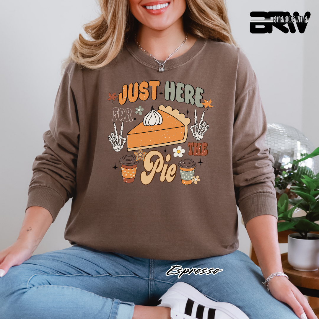 Person wearing a brown sweatshirt with a pie graphic and text, sitting indoors. JUST HERE FOR THE PIE FALL SWEATHIRT