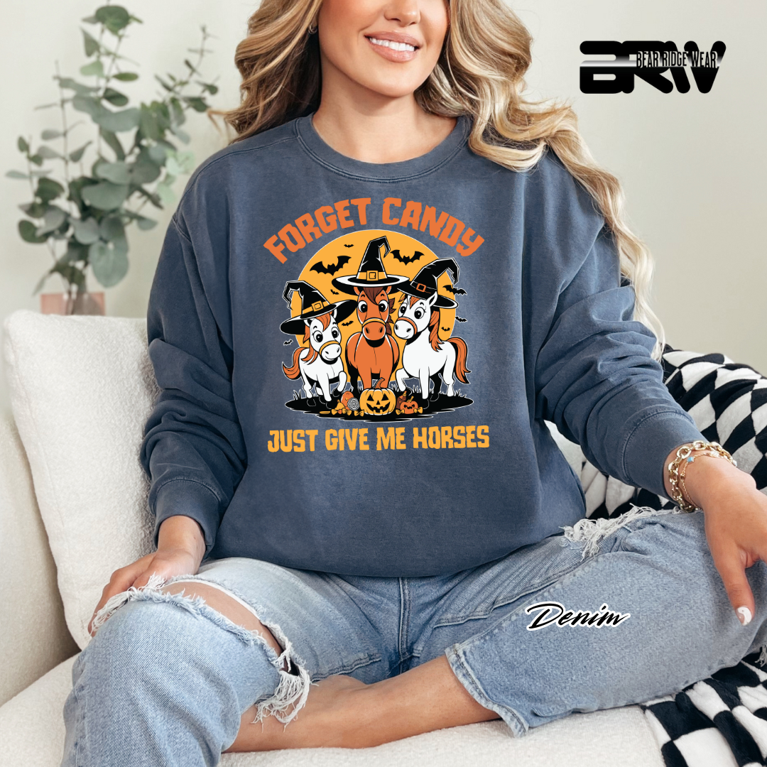 'Forget Candy-Horses' Fall Long Sleeve Tee