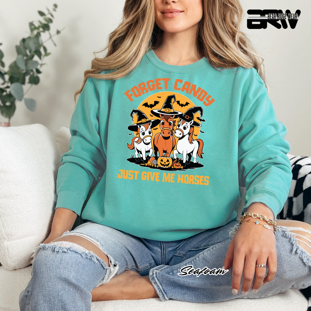'Forget Candy-Horses' Fall Long Sleeve Tee