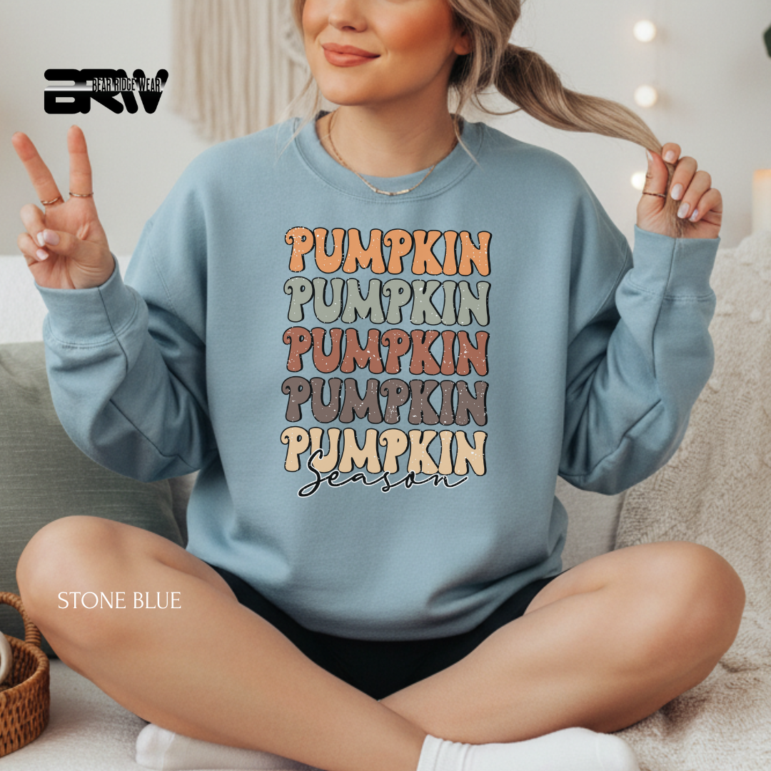 Person wearing a stone blue sweatshirt with 'Pumpkin Season' text, sitting on a couch.