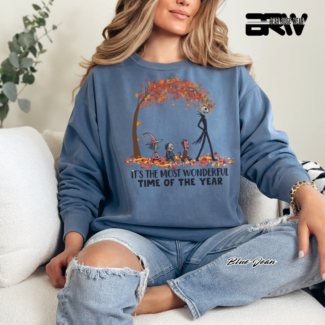 'Its The Most Wonderful Time' Fall Long Sleeve Tee