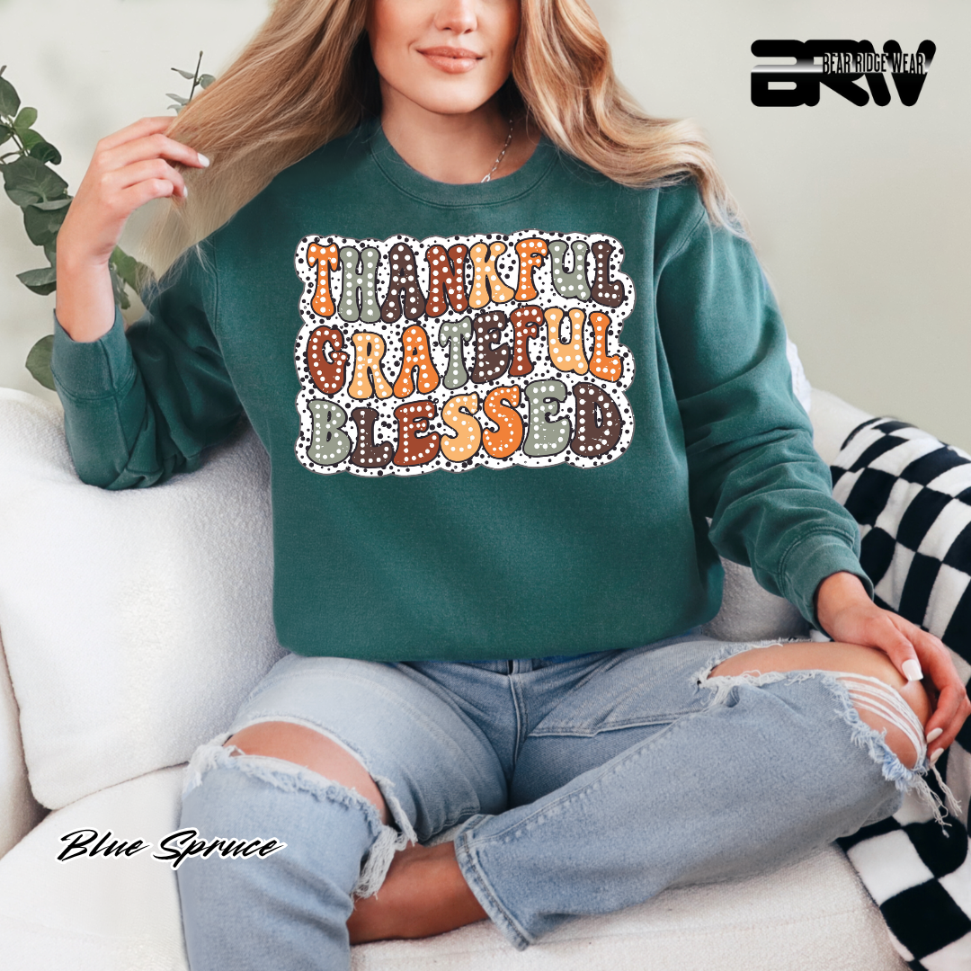 'Thankful Grateful Blessed' Fall Long Sleeve Tee