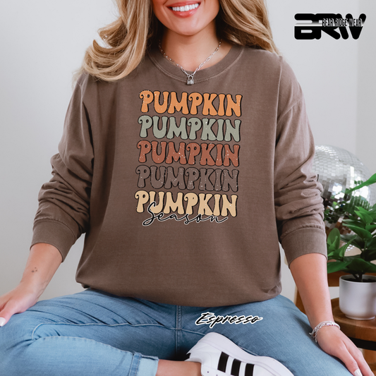 'Pumpkin Pumpkin Season' Fall Long Sleeve Tee