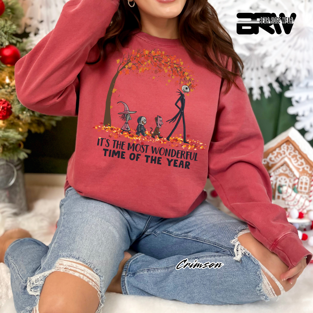 'Its The Most Wonderful Time' Fall Long Sleeve Tee