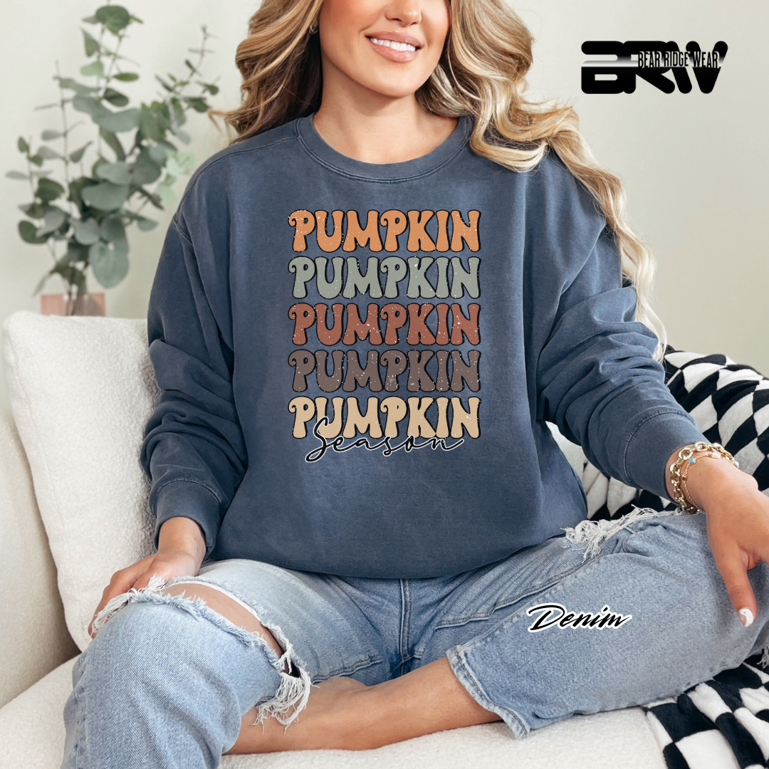 'Pumpkin Pumpkin Season' Fall Long Sleeve Tee