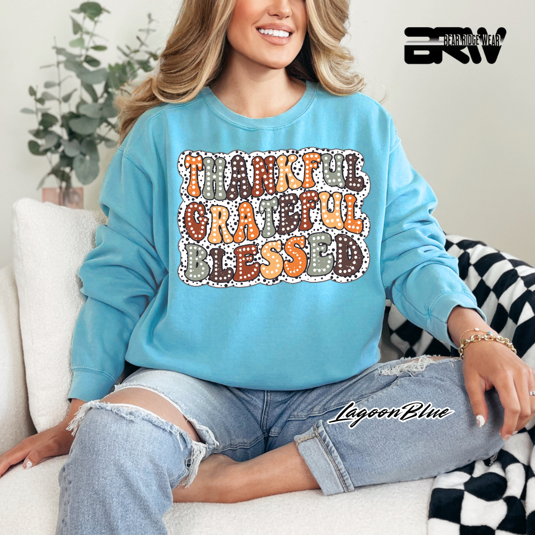 'Thankful Grateful Blessed' Fall Long Sleeve Tee