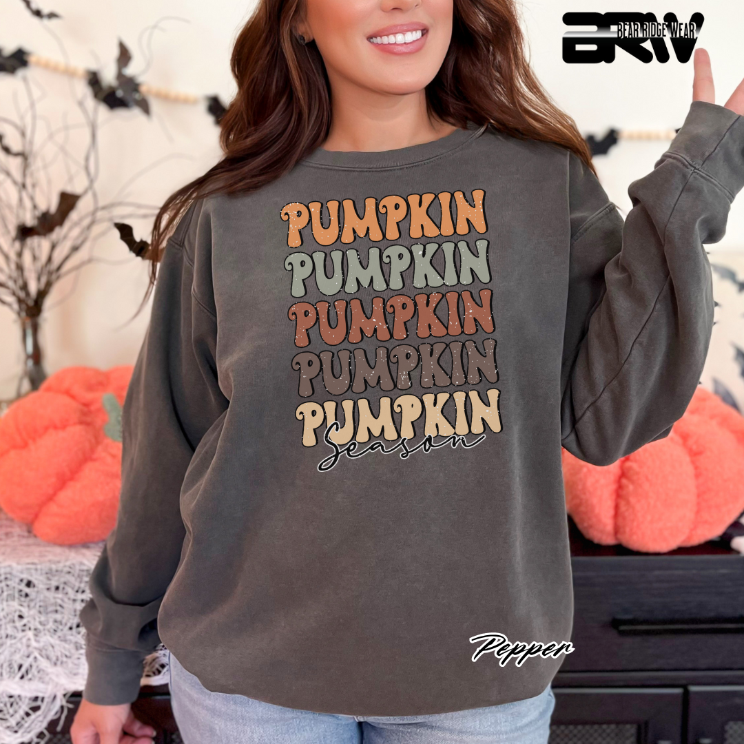 'Pumpkin Pumpkin Season' Fall Long Sleeve Tee