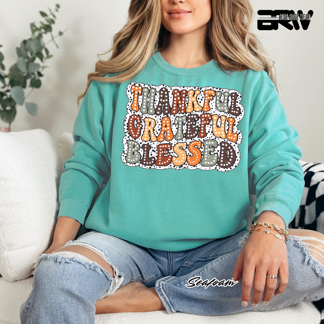 'Thankful Grateful Blessed' Fall Long Sleeve Tee