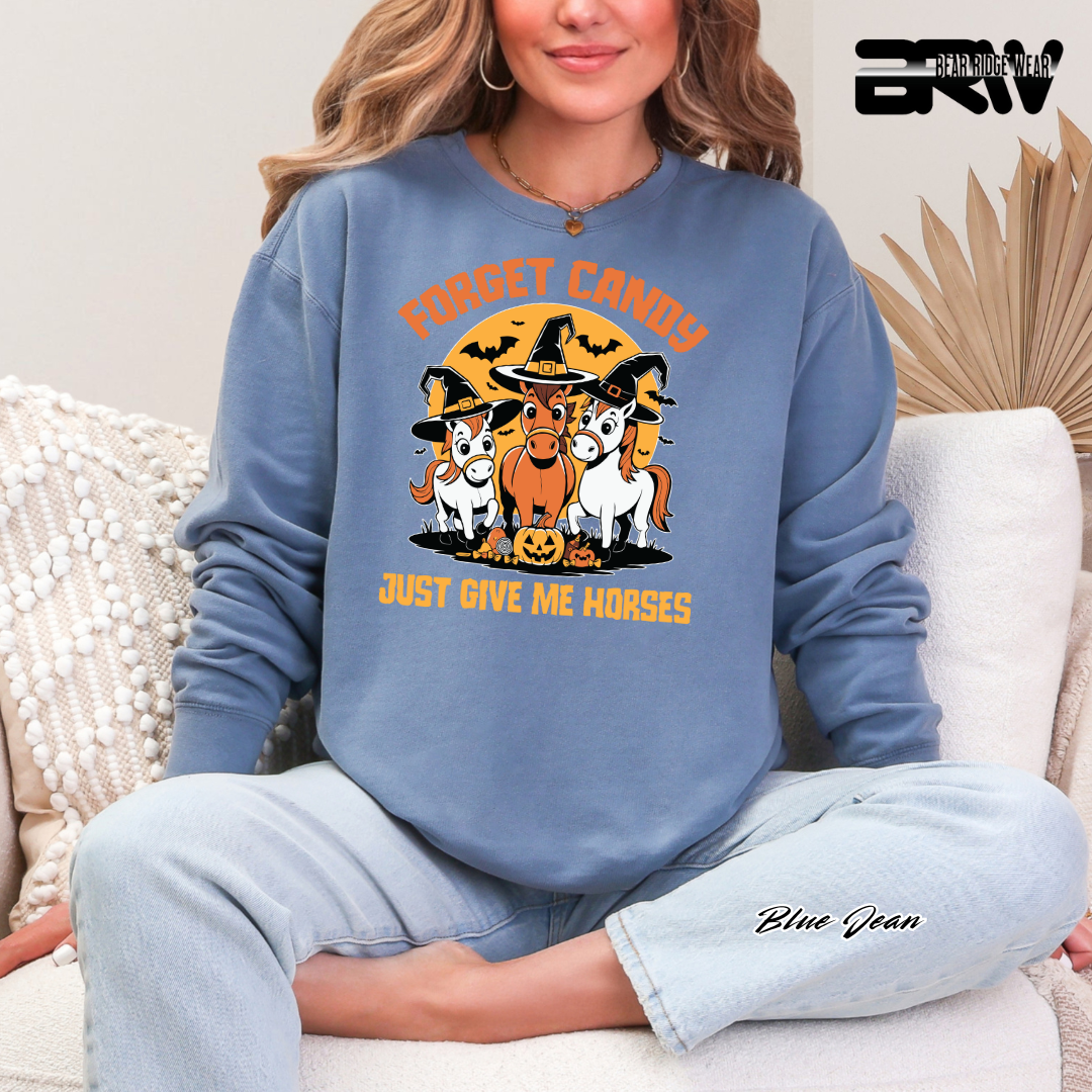 Person wearing a blue sweatshirt with Halloween-themed horse design and text.