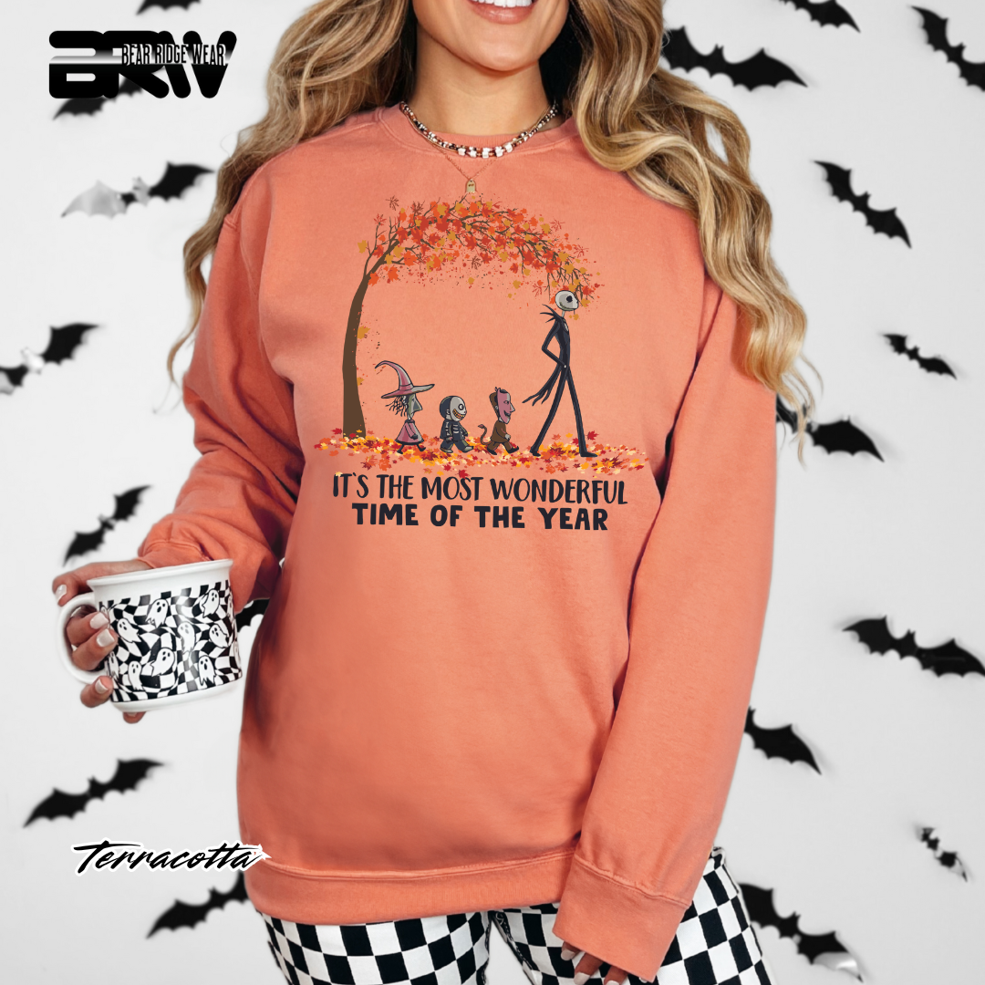 'Its The Most Wonderful Time' Fall Long Sleeve Tee