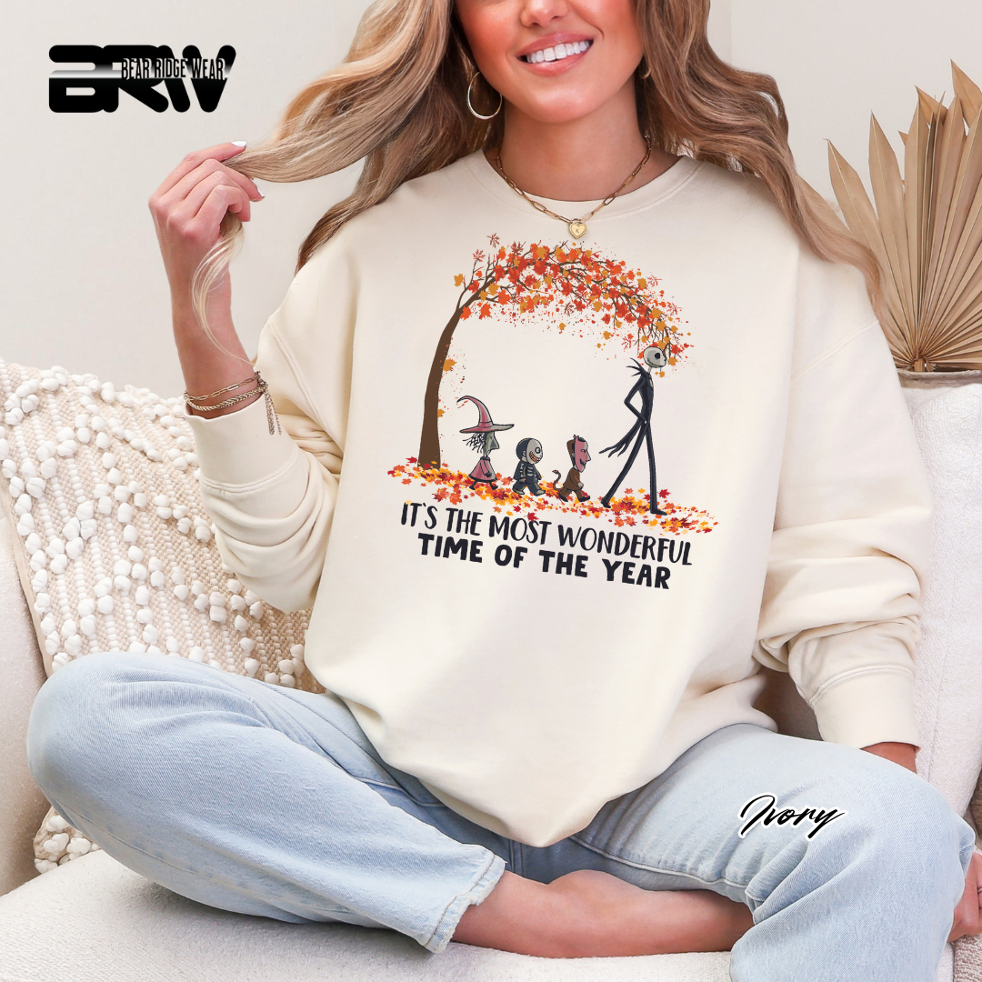 'Its The Most Wonderful Time' Fall Long Sleeve Tee