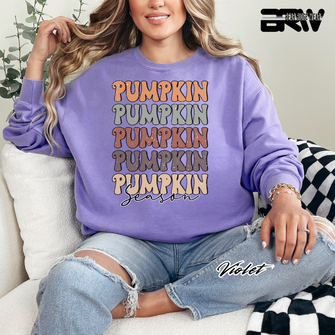 'Pumpkin Pumpkin Season' Fall Long Sleeve Tee